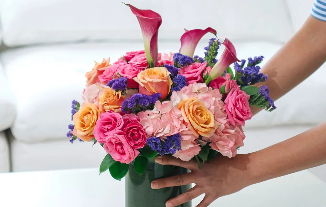 Solution Architecture